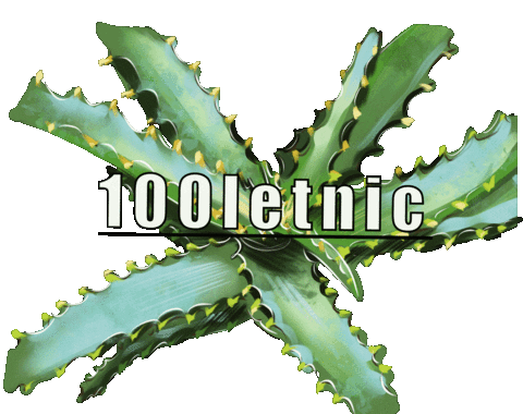 100Letnic Sticker