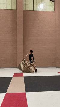 thatguywhospins  GIF