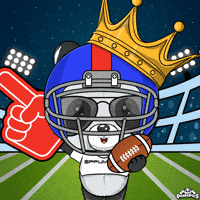 Super Bowl Football GIF by PandaPals