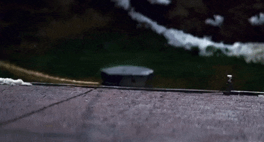 Jamie Lee Curtis Hello GIF