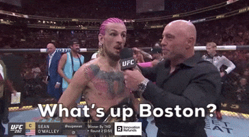 What's Up Boston