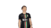 Northern Ireland Football Sticker by Glentoran Women FC