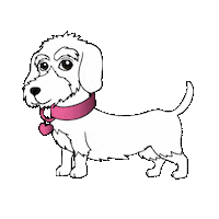 Dachshund Dackelliebe Sticker by Freda & Friends