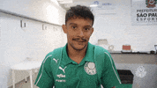happy gustavo scarpa GIF by SE Palmeiras