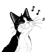 CatsLikeFelix felix cutecat itsgreattobeacat felixcat Sticker