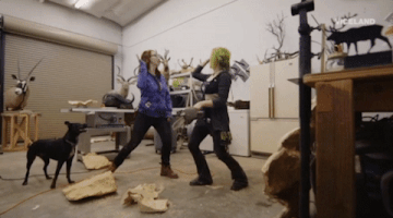 viceland GIF by Payday