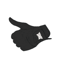 Golf Thumbs Up Sticker by PXG