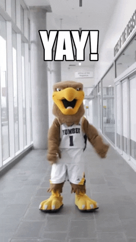Happy Mascot Fight GIF by Humber College