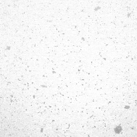 Video gif. It's snowing and the screen is completely whited out, save for a few snowflakes we see.