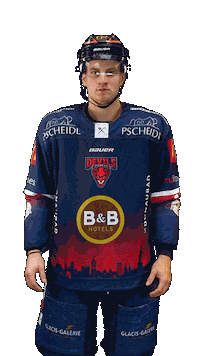 Hockey Devils Sticker by devilsulmneuulm
