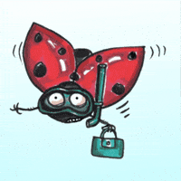 Ladybug Oops GIF