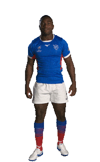 Namibia Rugby Sticker by Rugby World Cup