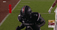 South Carolina Sport GIF by Southeastern Conference