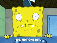 season 5 GIF by SpongeBob SquarePants