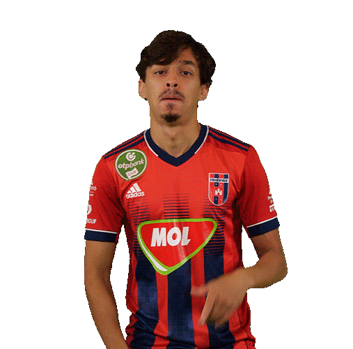 Football Vidi Sticker by MOL Fehérvár FC