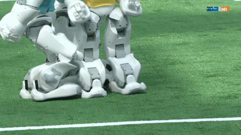 GIF by Mitteldeutscher Rundfunk