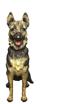 Dog Flying Sticker by Four Rest Films