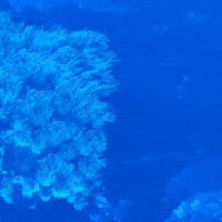 Easter Dinosaur GIF by TeaCosyFolk