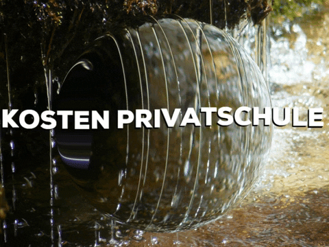 School Sun GIF by PrivatschulenPORTAL.de