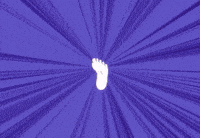 quqf_ feet monogatari araragi koyomi GIF