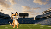 Who Dey Football GIF by Hero Galaxy NFT