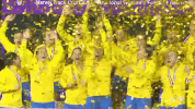national team soccer GIF by Confederação Brasileira de Futebol