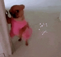 Give Me GIF