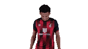 Football England Sticker by AFC Bournemouth