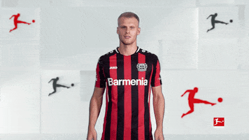 Made You Look Idk GIF by Bundesliga