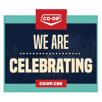 Wearecoop Sticker by Co-op