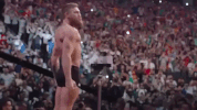 ufc 229 sport GIF by UFC