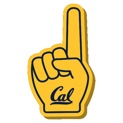 University Of California Bears Sticker by College Colors Day