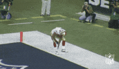 San Francisco 49Ers Football GIF by NFL