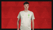 Werder Bremen Football GIF by Bundesliga