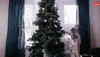 Merry Christmas GIF by BuzzFeed