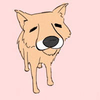 Dog Fox GIF by RuloCapirulo