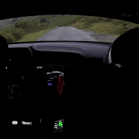 Motorsport Rallying GIF by FIA European Rally Championship