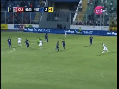 Dr_P giphygifmaker pitch invader goal GIF