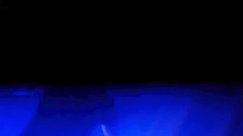 mad party GIF