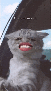 Cat Mood GIF by AnnamLife