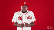 GIF by Cincinnati Reds