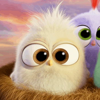 Angry-bird-the-movie GIFs - Get the best GIF on GIPHY