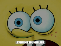 season 6 GIF by SpongeBob SquarePants