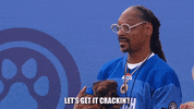 Animal Planet GIF by Puppy Bowl
