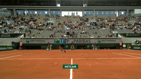 celebrate french open GIF by Roland-Garros