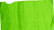 GIF by Seattle Seahawks