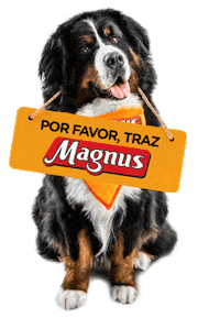 Cat Please Sticker by Adimax Pet