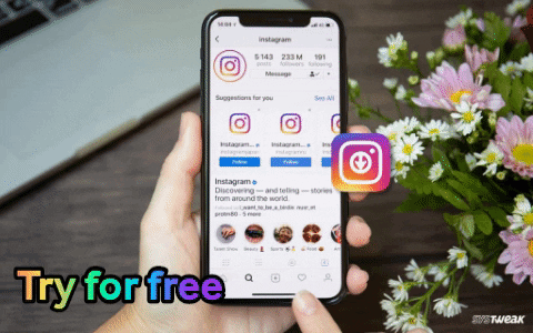 Mark142 giphygifmaker instagram free stories GIF