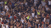 Sheffield United Soccer GIF by Sheffield United Football Club