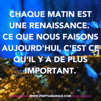 Business Canada GIF by PIMP TA MARQUE